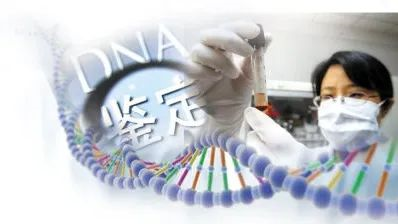 母子亲子鉴定哪里检测？