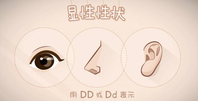 亲子鉴定到底是个啥？怎么个鉴定法？