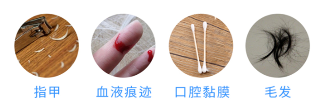怀孕多久可以做无创胎儿亲子鉴定样本采集? 怀孕多久可以做无创胎儿亲子鉴定样本采集?