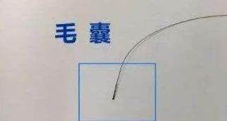 隐私亲子鉴定自己一人能完成样本采集吗？