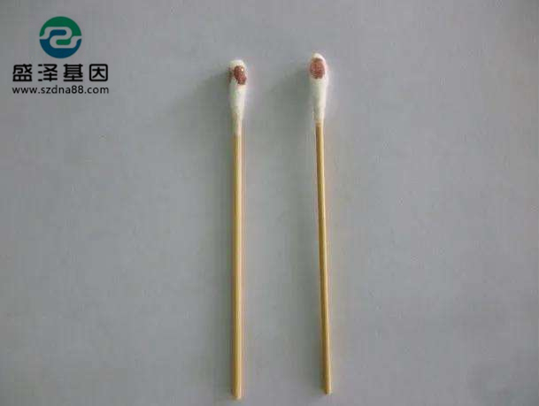 棉签上的血其实就是血痕样本，亲子鉴定一般的载体的选择有采血卡