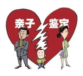 司法亲子鉴定办理流程有哪些？效力如何？