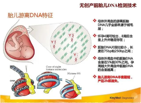 孕期做胎儿亲子鉴定合适吗？孕期有哪些胎儿亲子鉴定方法？