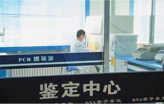 亲子关系鉴定费用和样本这些因素有关