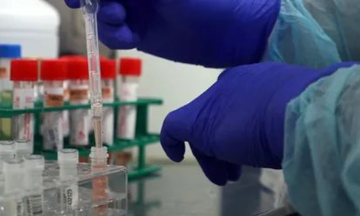 除了血液人的唾液能做亲子鉴定吗？能亲子鉴定人的遗传病史吗？