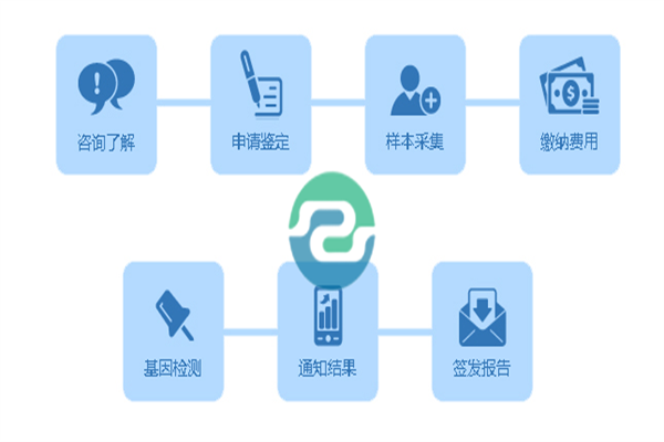 中山亲子鉴定需要哪些信息？