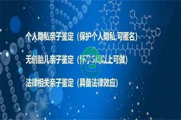 如何选择合适的中山无创DNA亲子鉴定机构？