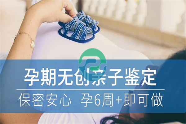 中山亲子鉴定应优先保护妇女和儿童的利益