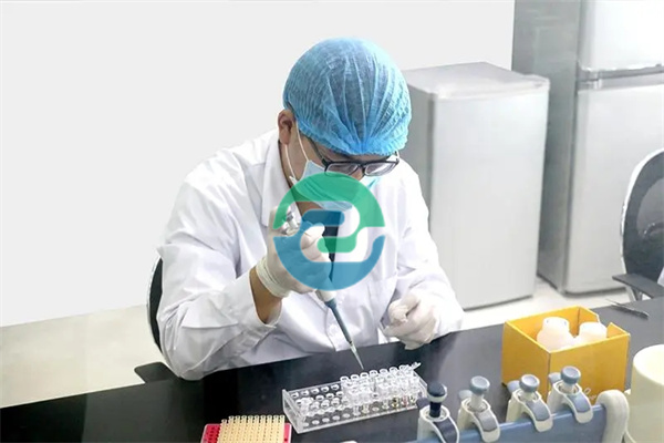 如何选择中山亲子鉴定中心？保证鉴定结果可靠性的三个要点