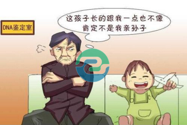 中山正规的亲子鉴定需要多少钱？地址在哪？