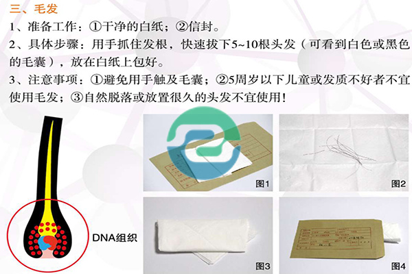 如何委托中山个人亲子鉴定？用头发怎么做亲子鉴定？
