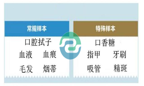 中山亲子DNA亲子鉴定的价格并不是很高！