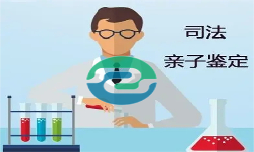 中山亲子鉴定要花多少钱？盛泽基因