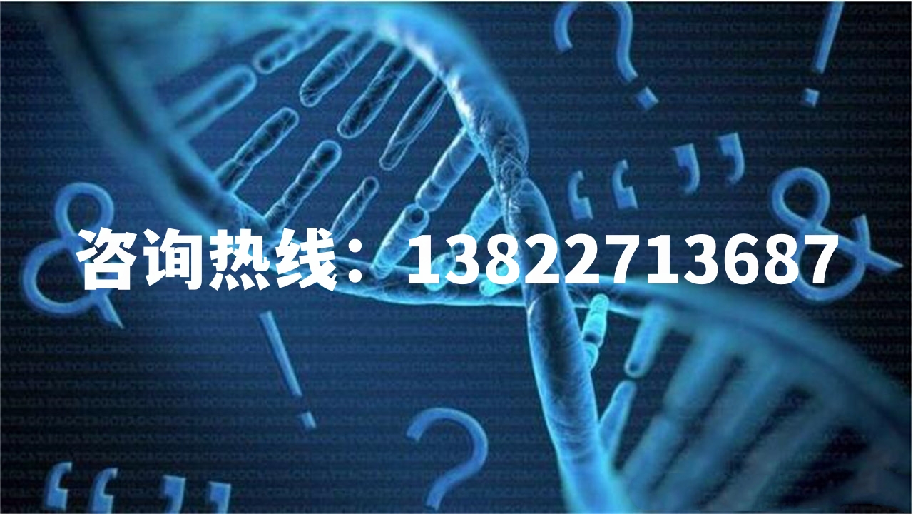 中山哪里可以找到正规的亲子鉴定机构？