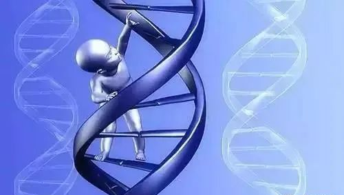 无创产前基因检测（NIPT）到底有什么作用？