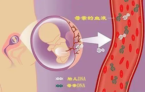 妈妈香港验血是女孩却生了男孩？化验所检测单失误了吗？
