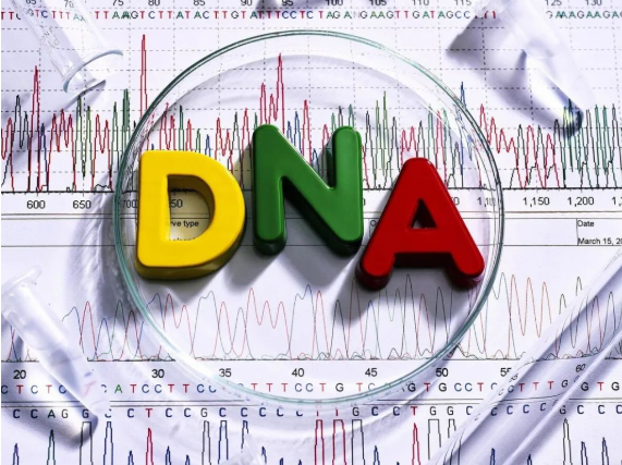 做DNA亲子鉴定准确率多少？亲子鉴定非亲生的比率高吗？